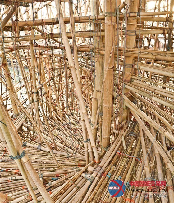 意大利罗马国家电力公司当代艺术Big Bambú(大竹)