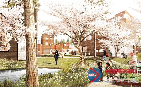 White Arkitekter的获奖方案