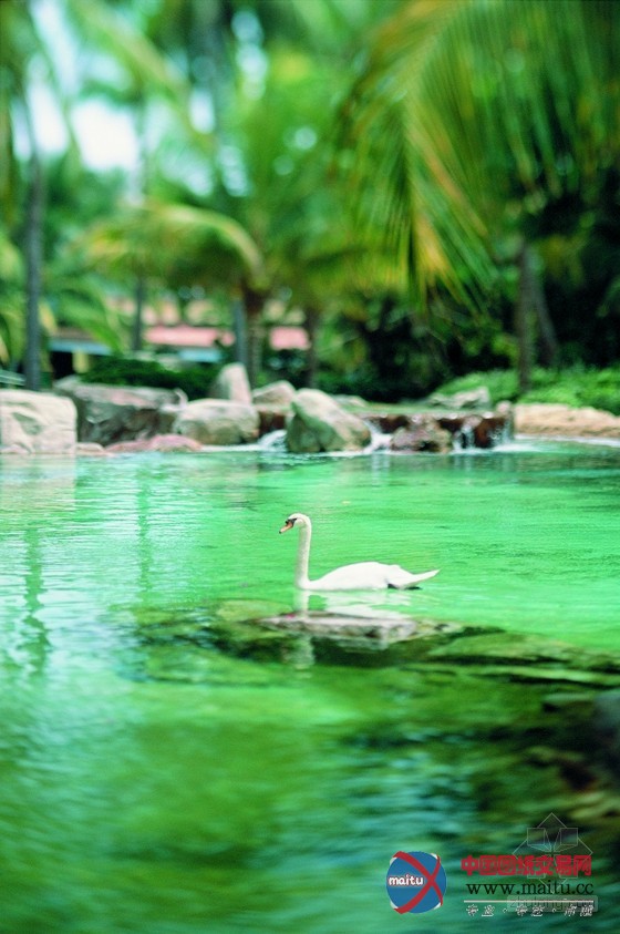 墨西哥费尔蒙阿卡普尔科公主酒店设计 独一无二的住宿体验