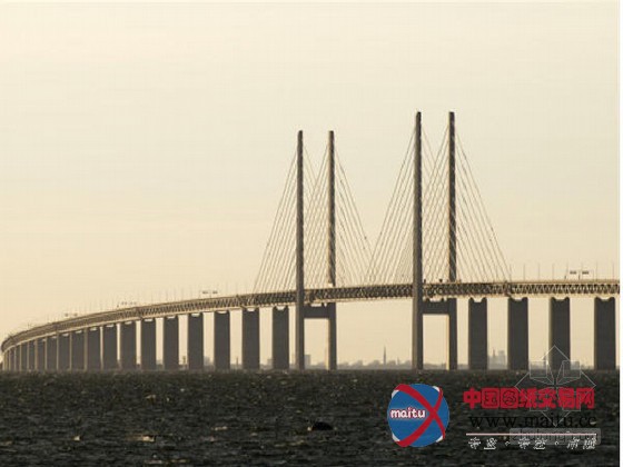 穿行全球十大州(国)际桥梁 组图