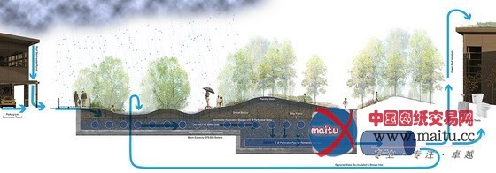 美国斯坦福Rogers环境研究Magnet学院