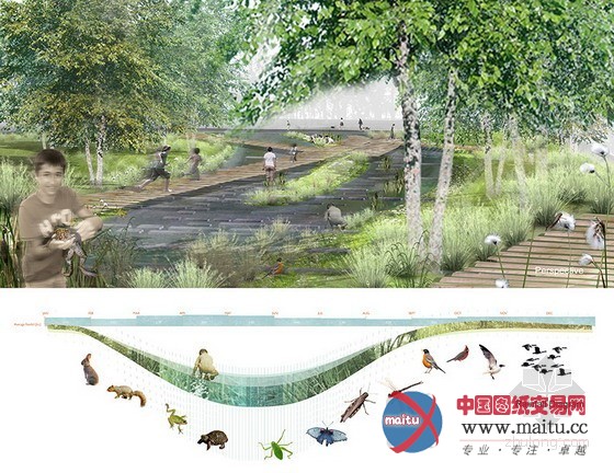 美国斯坦福Rogers环境研究Magnet学院