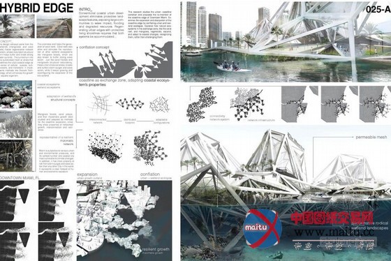 2013年ONE奖入围名单公布