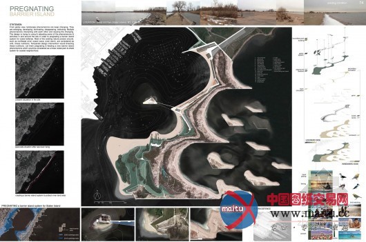 2013年ONE奖入围名单公布