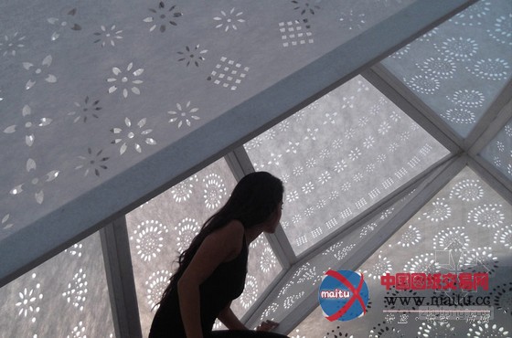 X工作室设计的墨西哥半透明庇护所