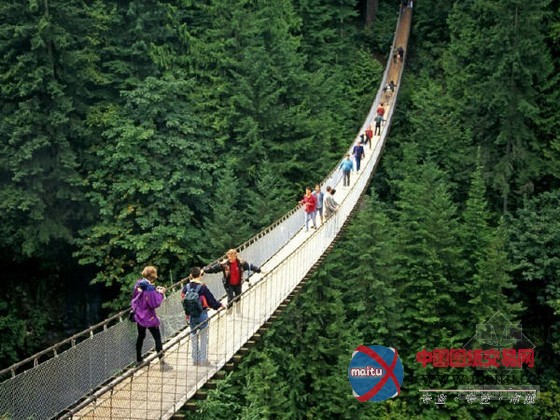 神奇之旅 世界各种鬼斧神工的桥(组图)
