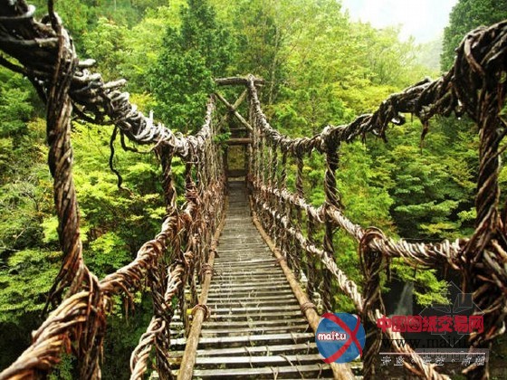 神奇之旅 世界各种鬼斧神工的桥(组图)