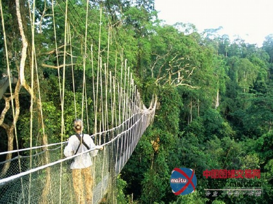 神奇之旅 世界各种鬼斧神工的桥(组图)