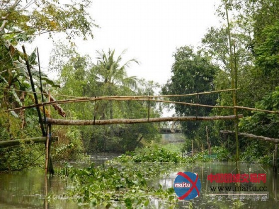 神奇之旅 世界各种鬼斧神工的桥(组图)