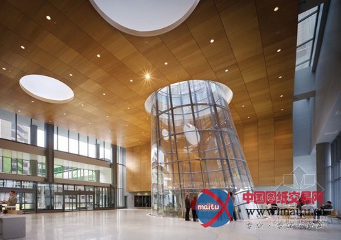 Perkins等设计的美国拉什大学新医疗中心