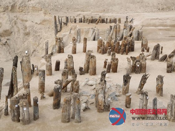 西安发掘880米长秦汉时代的古桥