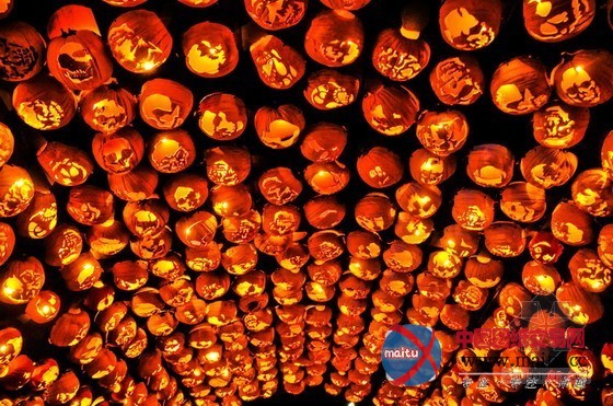 奇趣迭生的纽约哈德逊庄园万圣节南瓜展览