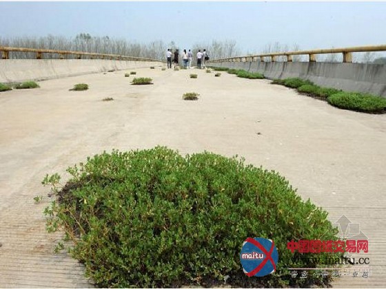 图说那些已建成却未通车的路桥隧工程