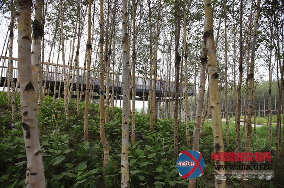 土人设计的中国哈尔滨群力新区湿地公园