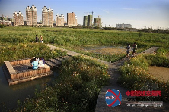 土人设计的中国哈尔滨群力新区湿地公园