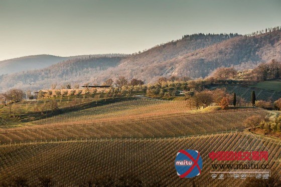 意大利南部Bulgari酒庄