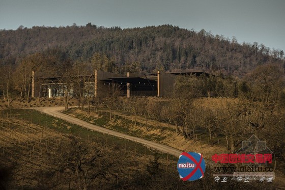 意大利南部Bulgari酒庄