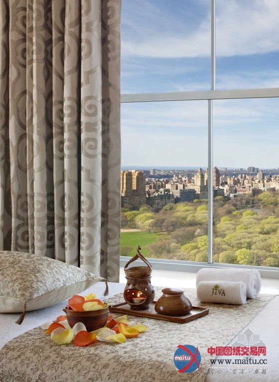 纽约皮埃尔泰姬陵酒店设计 非常有特色