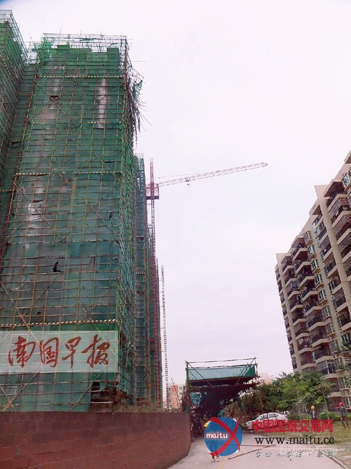 楼顶“葡萄架子”坍塌砸穿地面防护棚