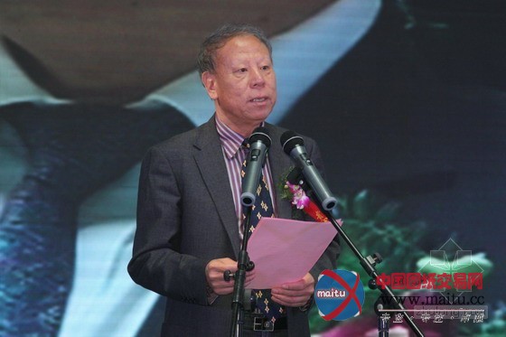 助力中国建筑装饰绿色发展 马鞍山绿色装饰材料产业园盛大开园