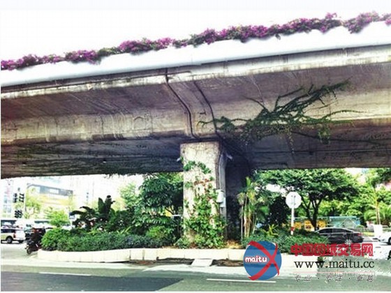 事件追踪 福州高架桥桥墩地面下沉现裂缝