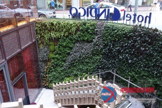 香港港岛英迪格酒店设计 营造众不同的活力魅力