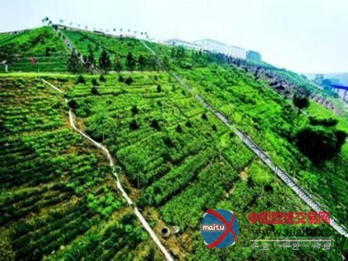 神东采煤沉陷区的华丽蜕变