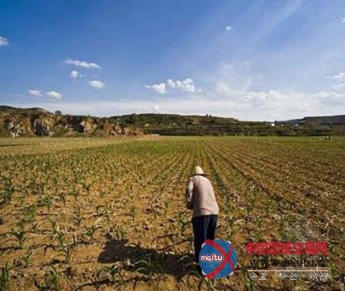 农村“土改” 农民将成为新一轮改革最大受益者