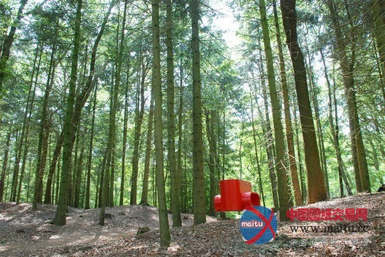 Rob Sweereéè??μ?oéà?°?ì??Té-á??DD?ú¤??êò