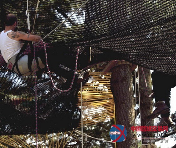 轻盈的球形茧树屋 为绿色生活而设计