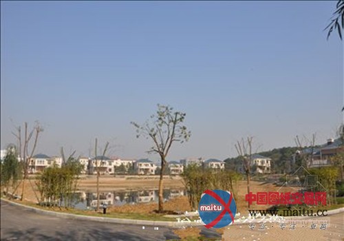 南京金箔违建8栋别墅“屹立不倒” 每栋造价500万