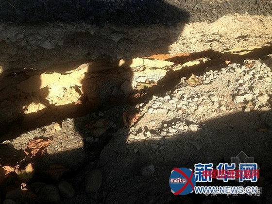 大连东港区路面开裂最深10米 谁是“真凶”