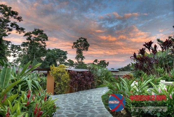 哥斯达黎加纳亚拉花园酒店设计 宛如步入奇幻国度