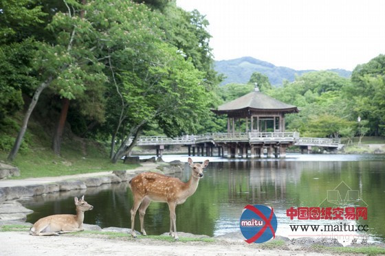 日本奈良市诺波里基酒店设计 气氛静谧