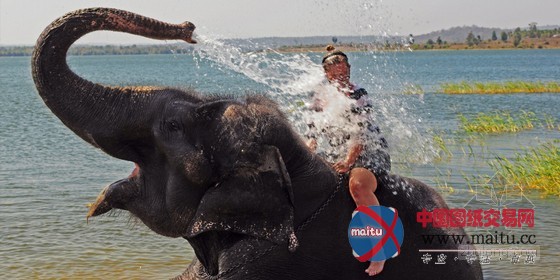 豪华的印度橘郡卡碧尼度假村 装饰独特
