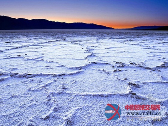 荒漠盐碱土可吸碳 破解世界“碳黑洞”难题