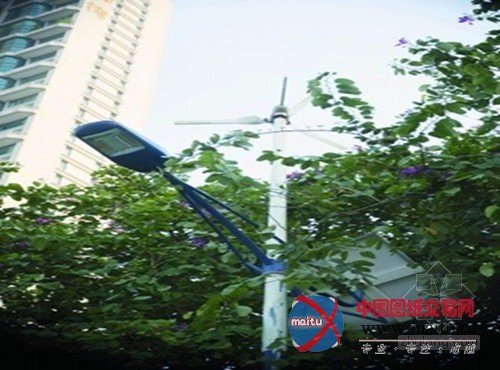 广州翰景路一盏路灯耗资3.6万元 高价买来鸡肋