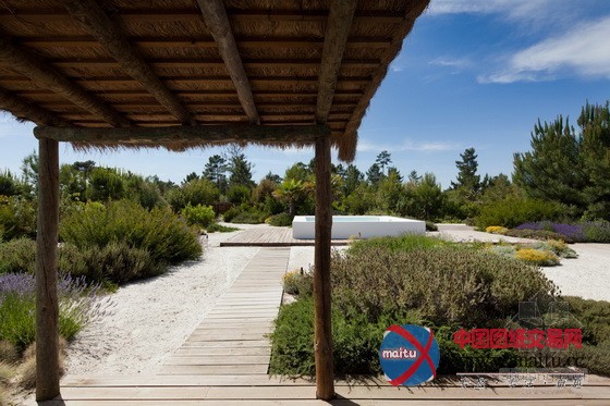 葡萄牙Comporta住宅花园