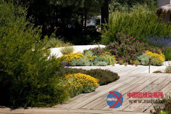 葡萄牙Comporta住宅花园