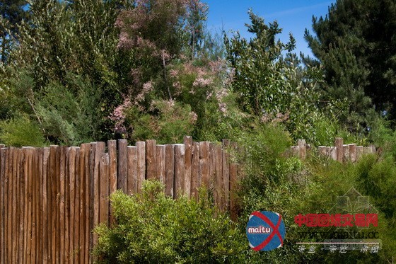 葡萄牙Comporta住宅花园