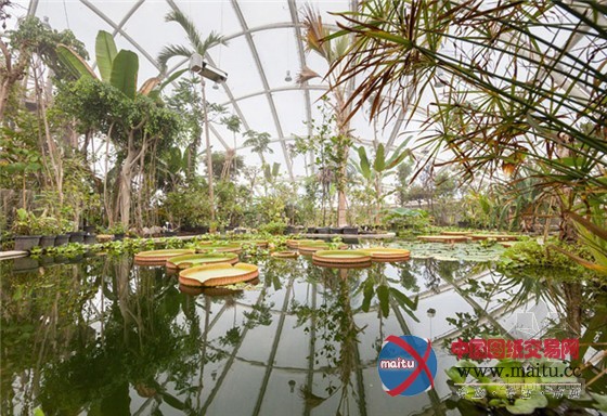 奥胡斯植物园中迷人的透明温室