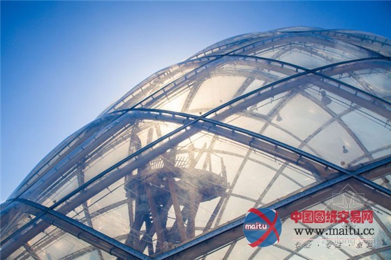 奥胡斯植物园中迷人的透明温室