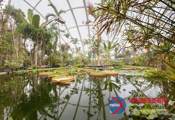 C. F. Møller Architekten设计丹麦植物园新温室