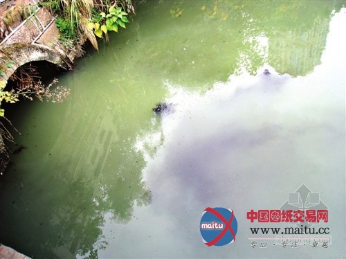 福州白马河投资4亿巨资整治 遭粪便直排变黑