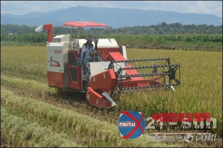 寒冷中绽放服务花朵 雷沃为客户梦想护航