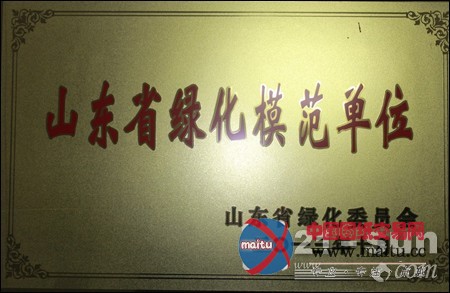 山东常林获“山东省绿化模范单位”荣誉称号