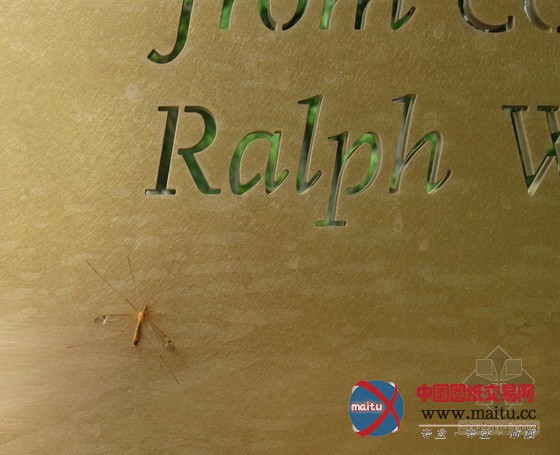 PLANT Architect公司设计俄亥俄州都柏林记念地