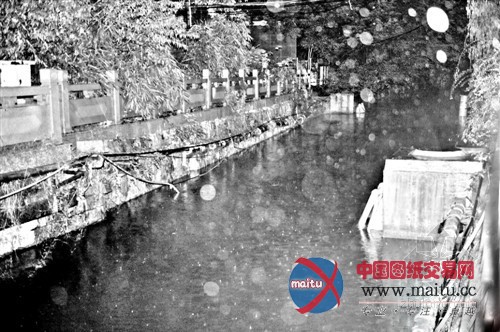 福州:已经截污的内河 为何屡现污水回流?