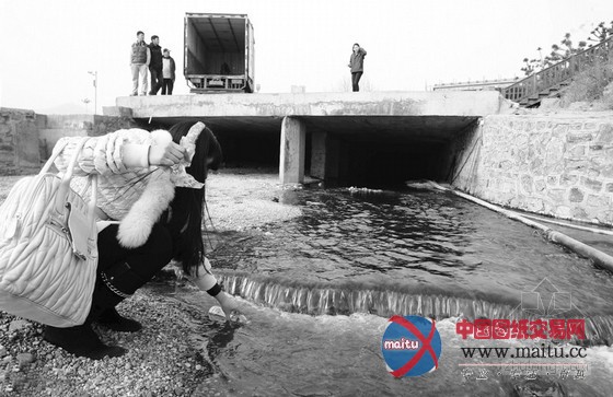 网曝“黑水”直排入海 调查回应水质无问题