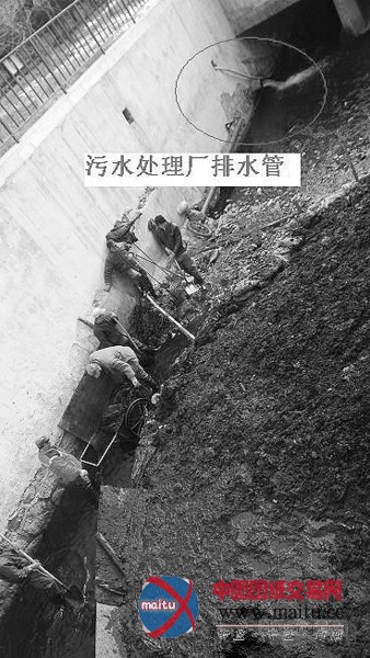 网曝“黑水”直排入海 调查回应水质无问题